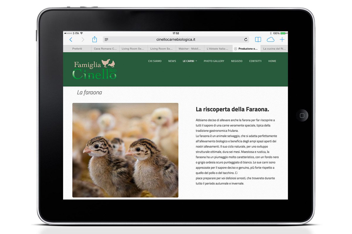 cinello_new2 cinello_new2