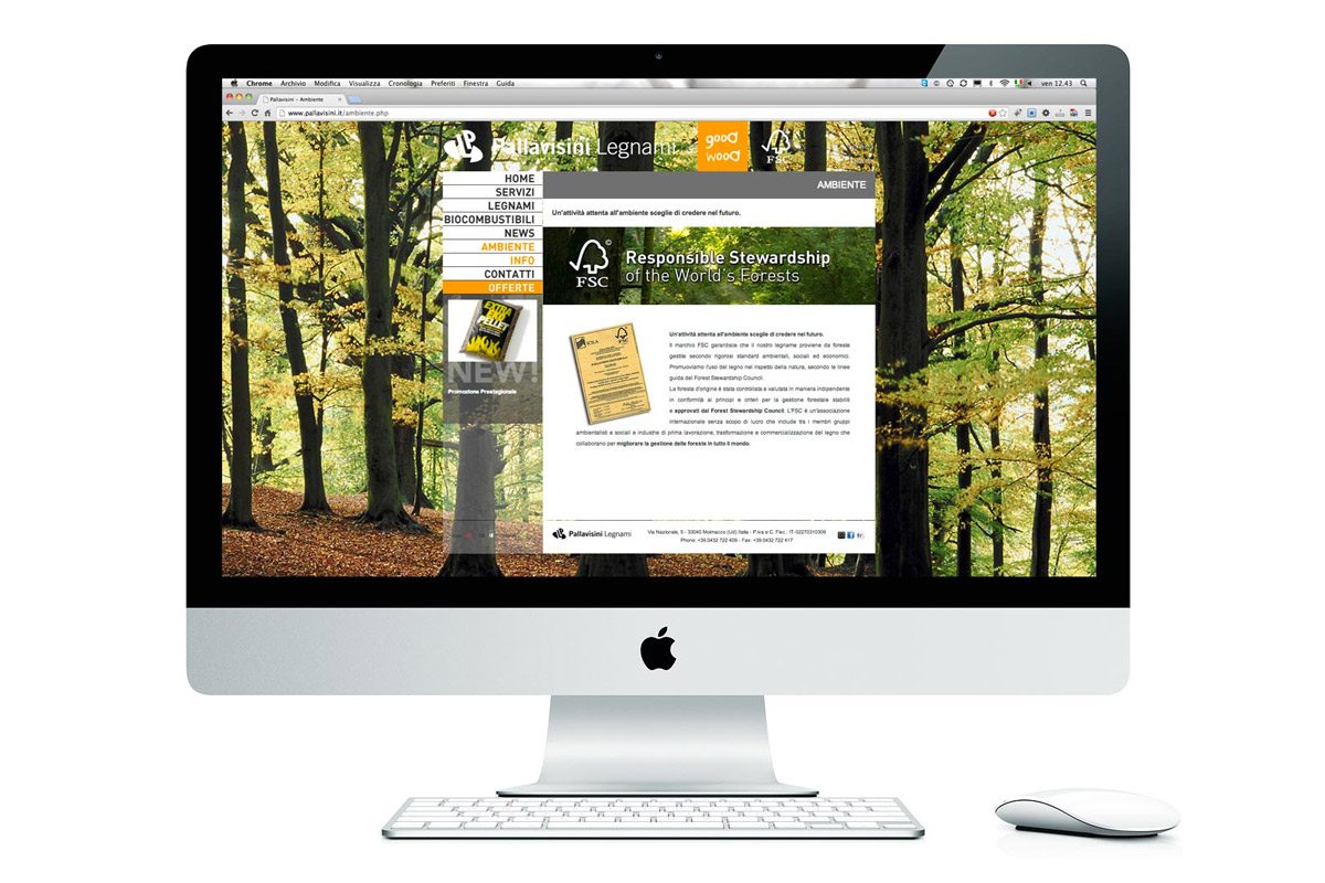 pallavisini_new1 pallavisini_new1