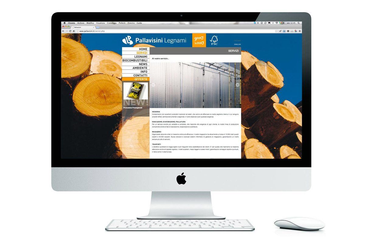 pallavisini_new2 pallavisini_new2