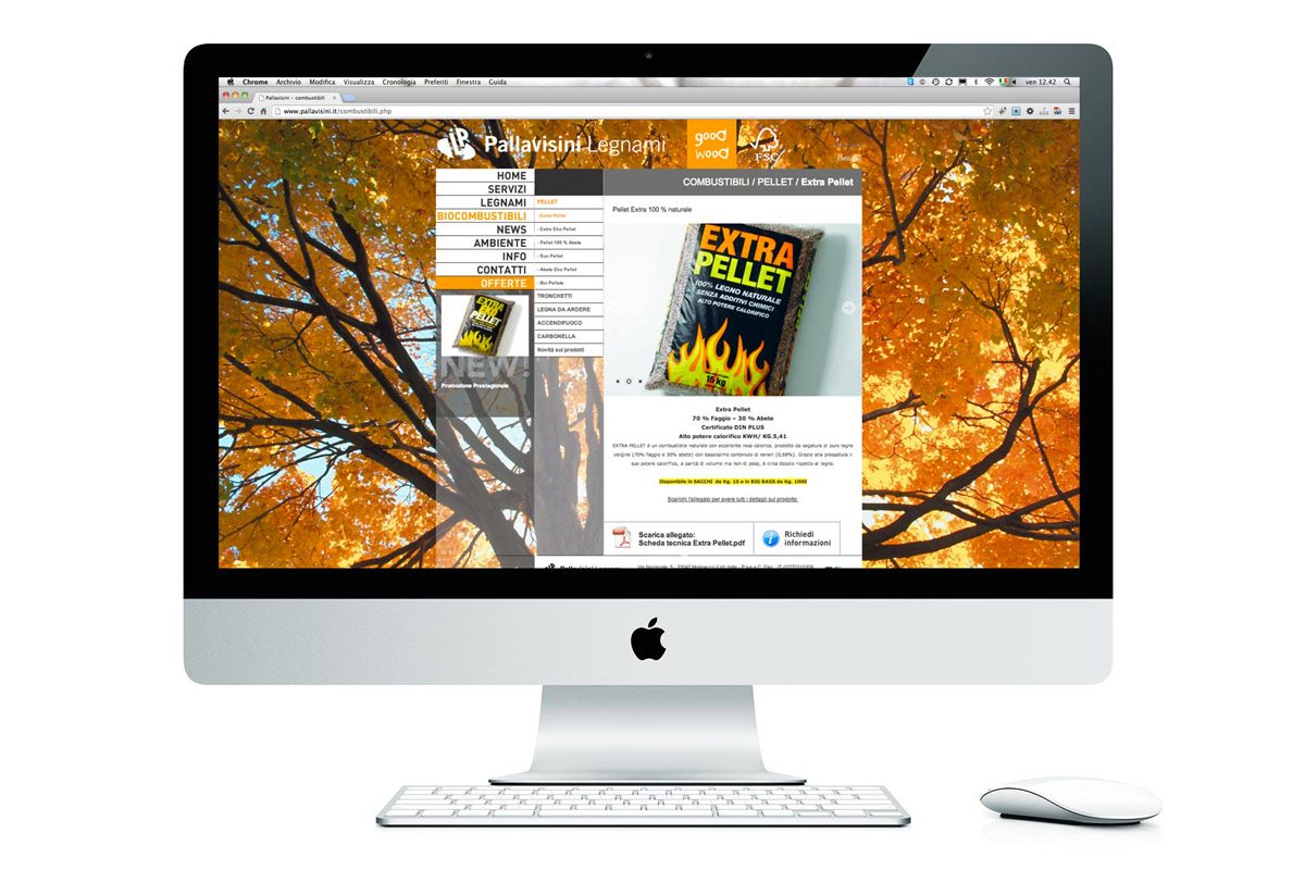 pallavisini_new3 pallavisini_new3