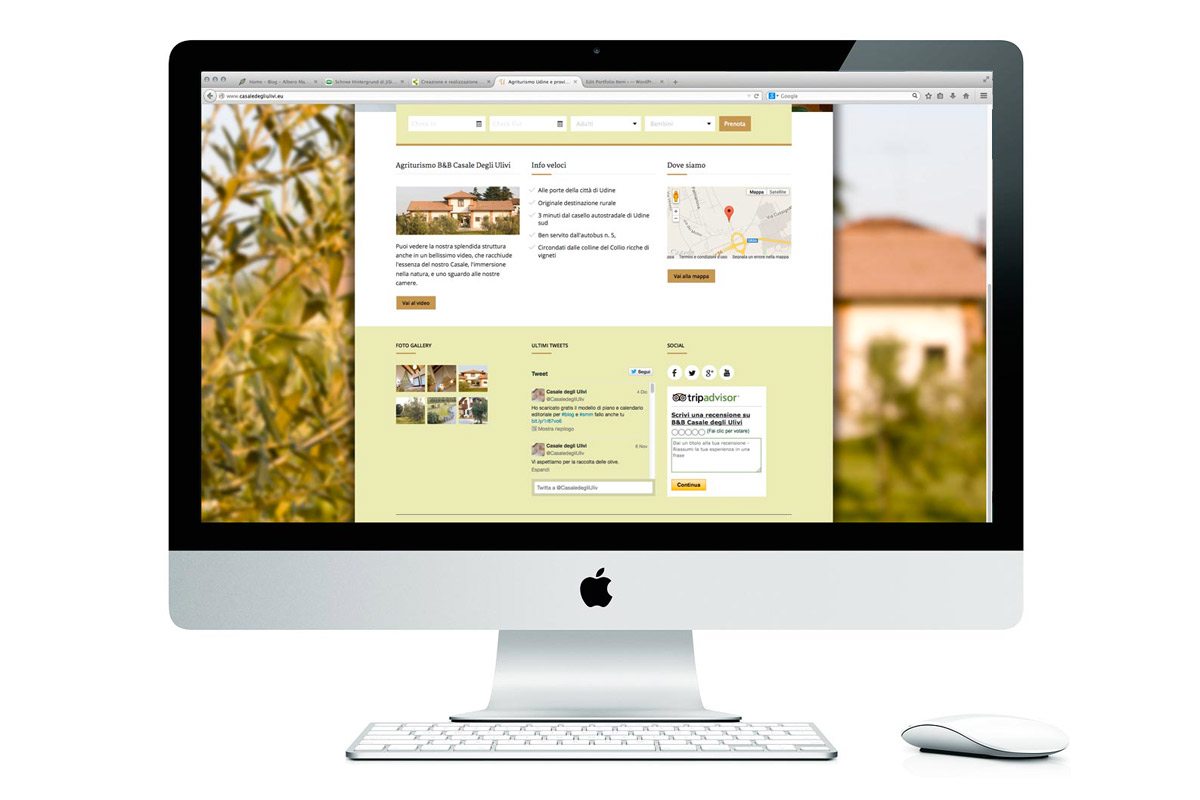 ulivi_new2 ulivi_new2