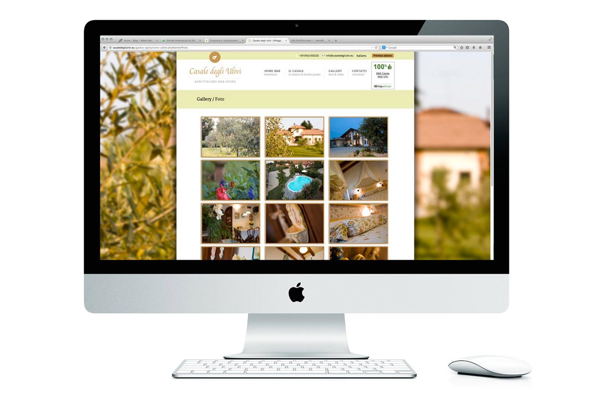 ulivi_new3 ulivi_new3