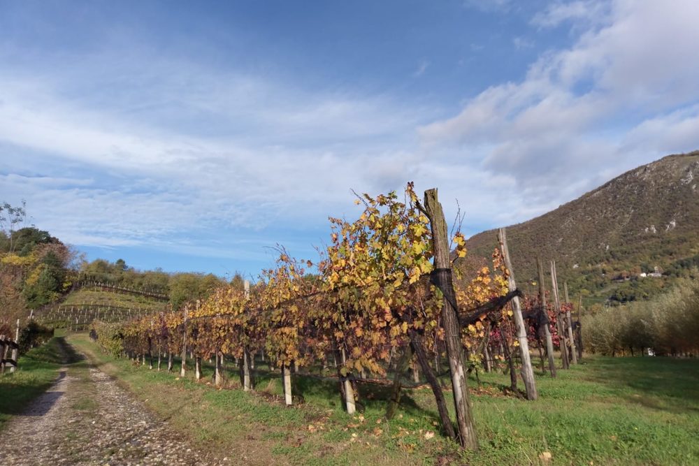 45235051_2210051375909930_4014003209944170496_o 45235051_2210051375909930_4014003209944170496_o