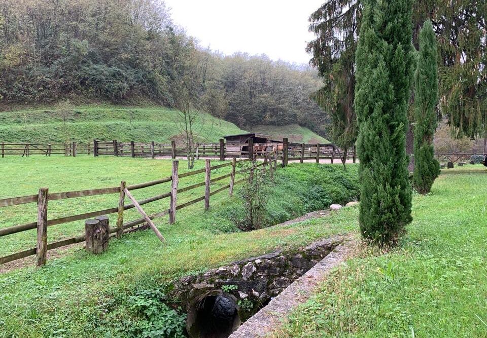 45886309_2214335465481521_5137489873447419904_n 45886309_2214335465481521_5137489873447419904_n